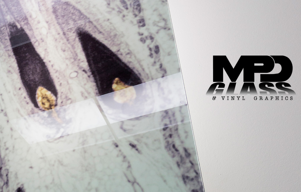 hellige dusin tvetydig MPD Glass & Vinyl Graphics – The Construction Source